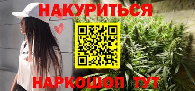 сатива Гай