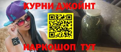 сатива Гай