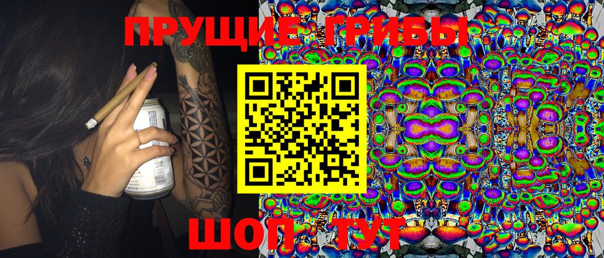 Псилоцибиновые грибы Cubensis Гудермес