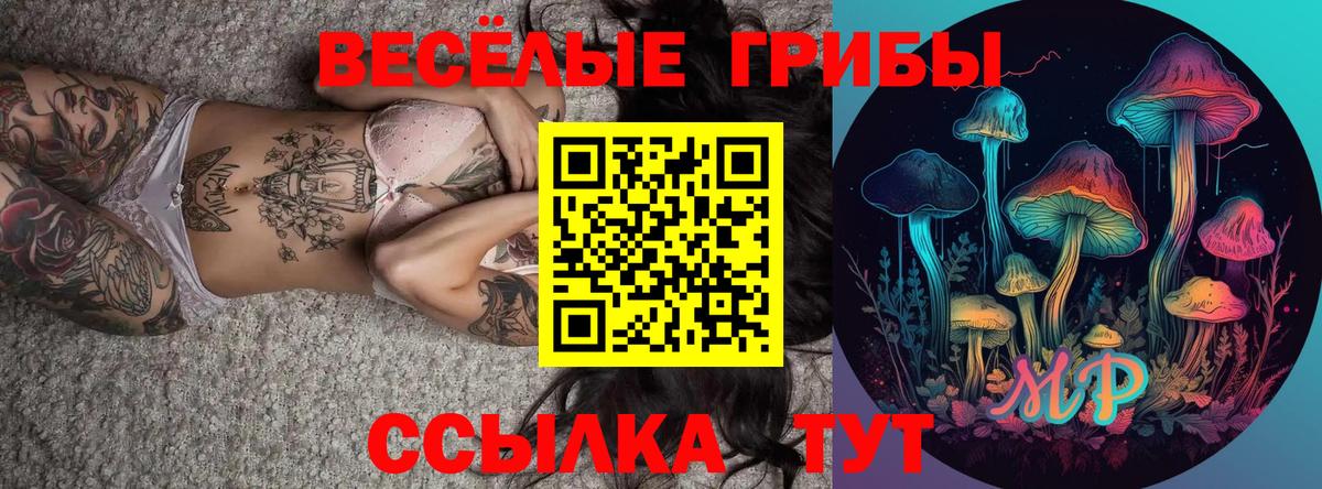 Галлюциногенные грибы мицелий  Вход с VPN  Гудермес  наркошоп  Псилоцибиновые грибы ЛСД 