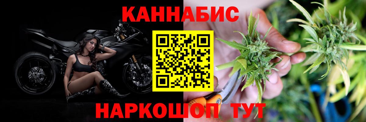 Бошки марихуана сатива  Вход с VPN  Гудермес  Шишки марихуана конопля  Каннабис Bruce Banner 